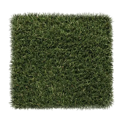 Fusion Elite turf