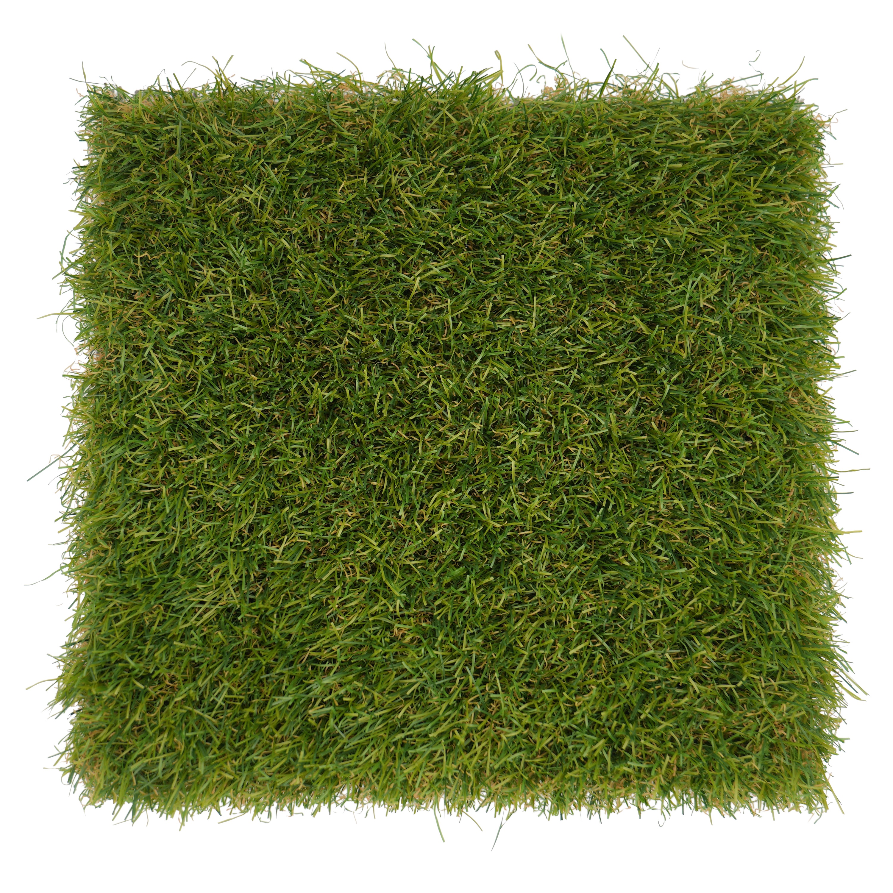 Verana turf