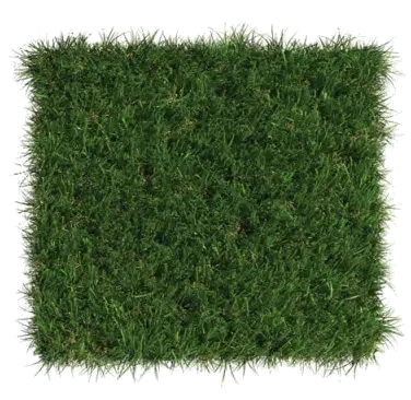 Select VR turf