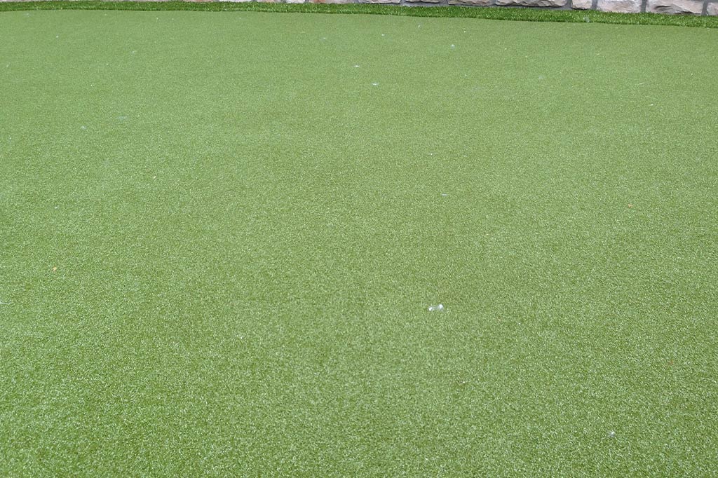 Backyard Completion - Image 6