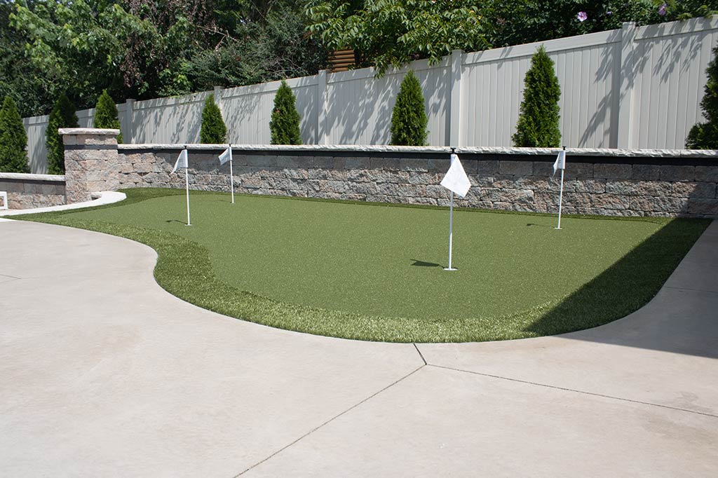 Backyard Goals - Image 4