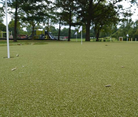 Sycamore Park - project sycamore park