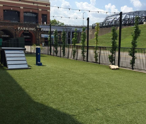 Aqua on the Levee - k9grass aqua on the levee 1