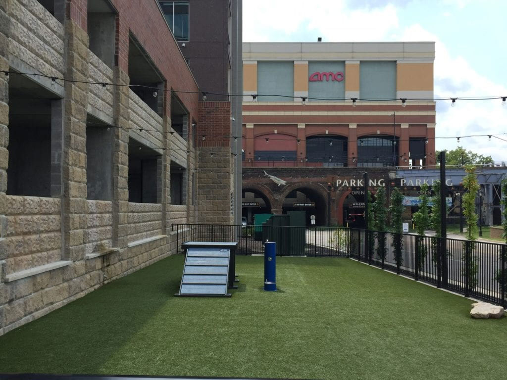 Aqua on the Levee - k9grass aqua on the levee 3