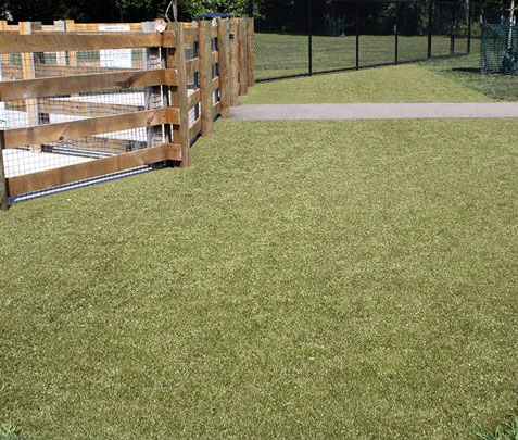 Airport pet relief area