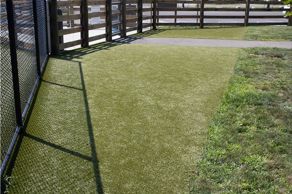 Central Bark Dog Park - whitehall dog park columbus 2