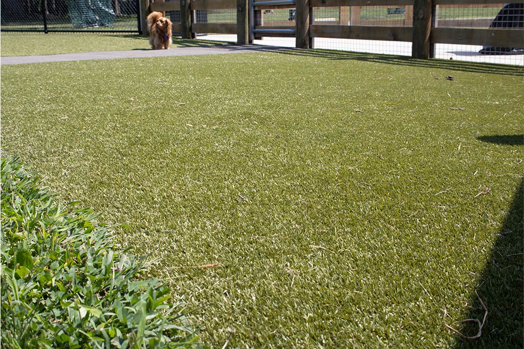 Central Bark Dog Park - whitehall dog park columbus 4