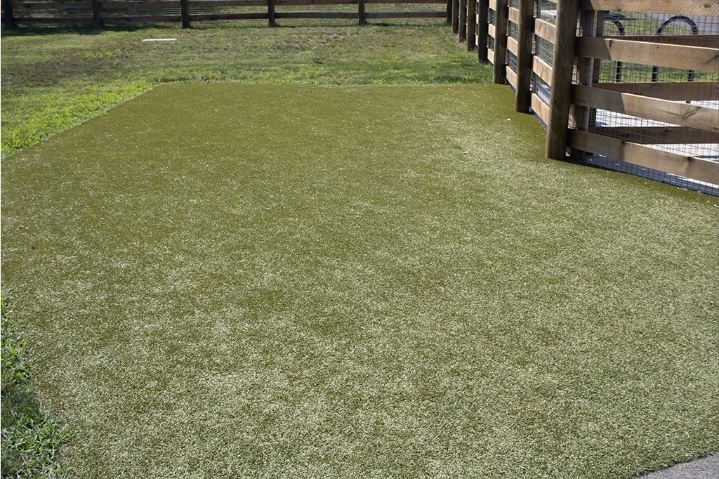 Central Bark Dog Park - whitehall dog park columbus 5