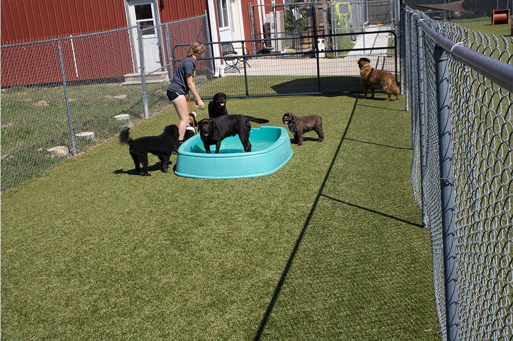 Golden Rust Farms - Image 1