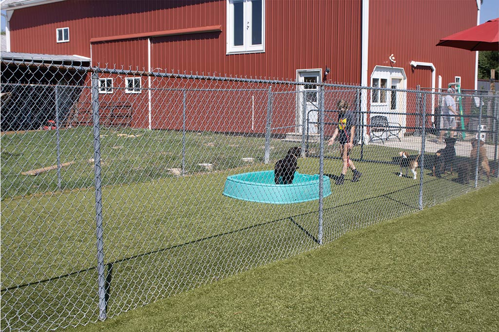 Golden Rust Farms - Image 2