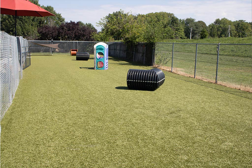 Golden Rust Farms - Image 3