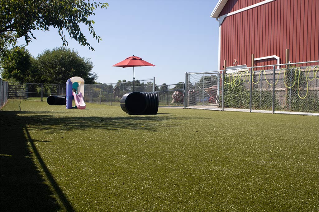 Golden Rust Farms - Image 5