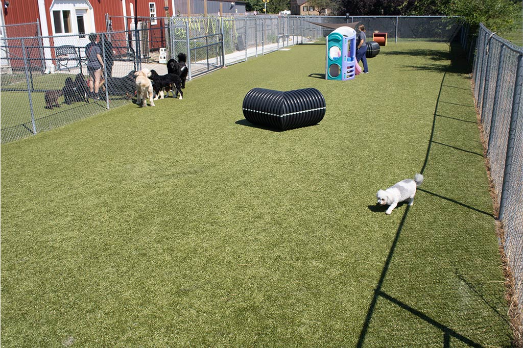 Golden Rust Farms - Image 6