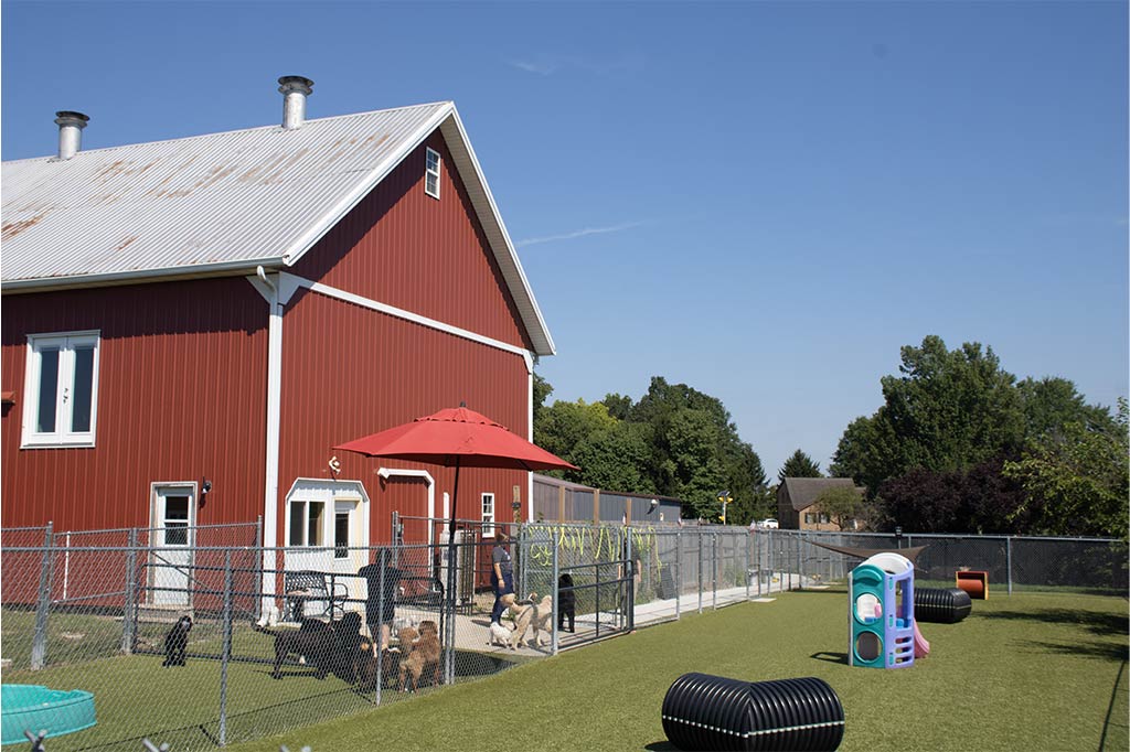 Golden Rust Farms - Image 7