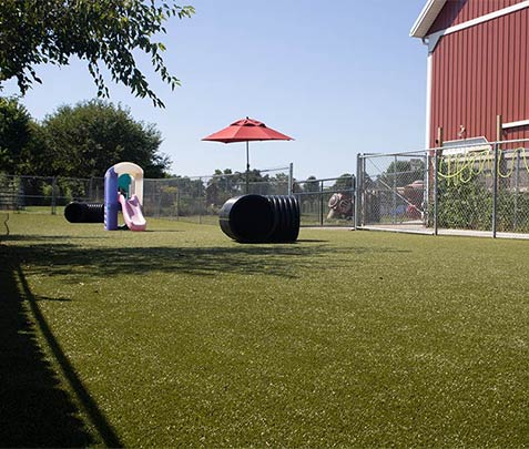 Golden Rust Farms - project golden rust farms