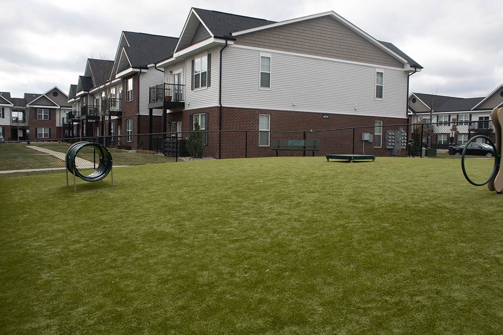 Peyton Park - Image 3