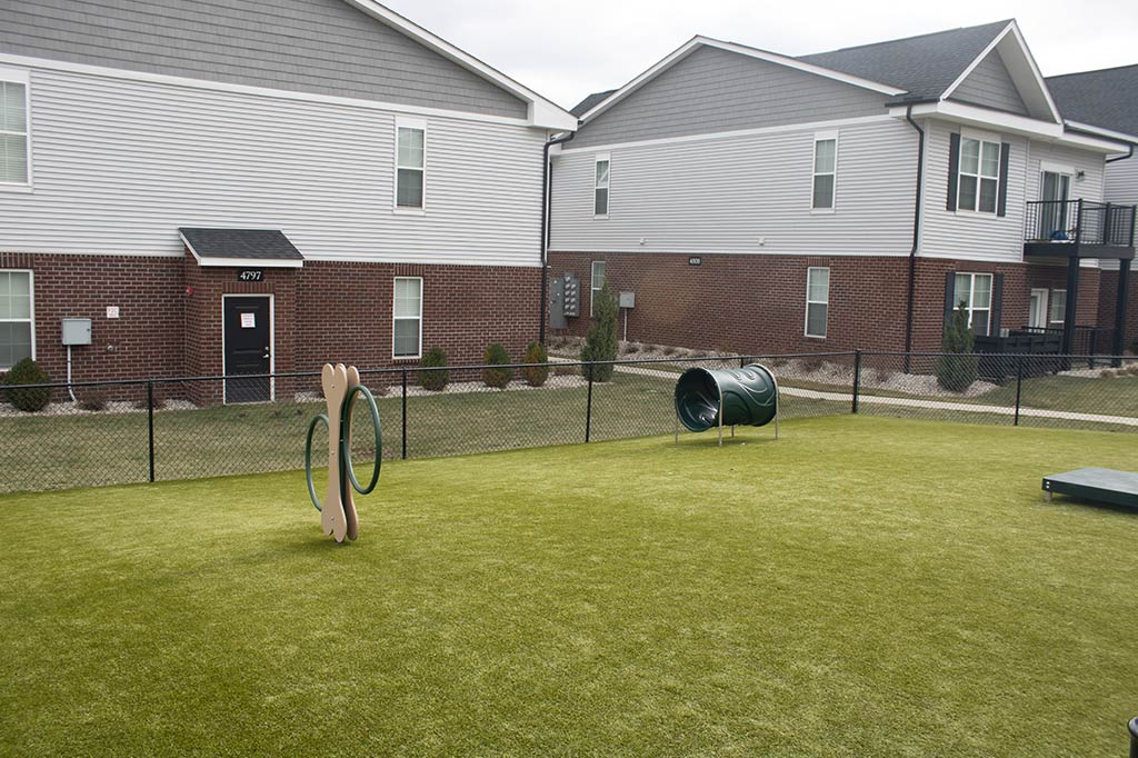 Peyton Park - Image 4