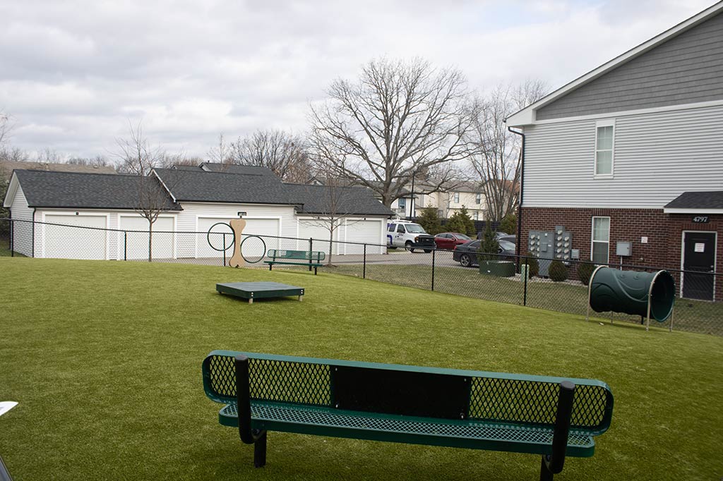 Peyton Park - Image 5