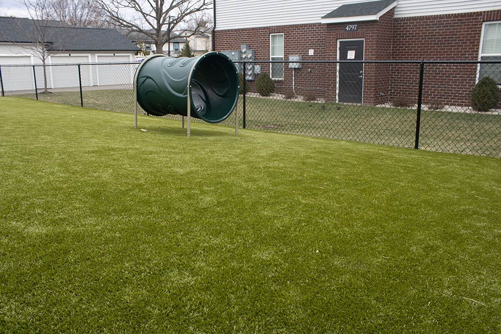 Peyton Park - Image 6