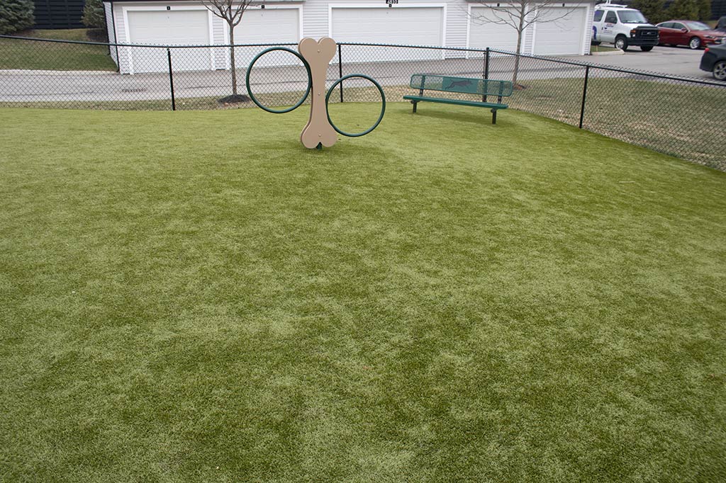 Peyton Park - Image 7