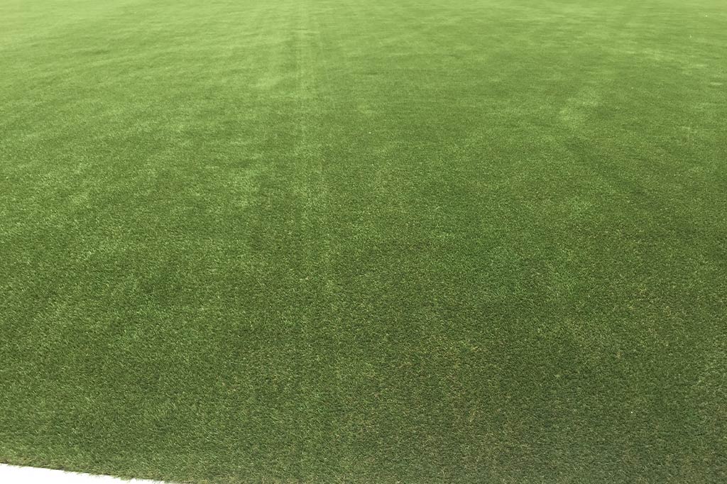 Blue Water River Walk - Image 5