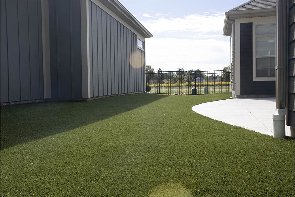 Shared Backyard - crowder lewis columbus 5