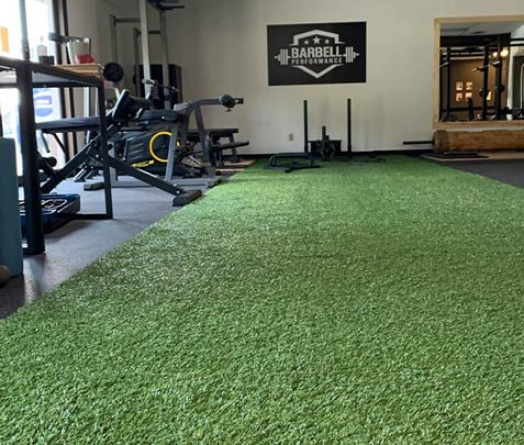 Barbell Performance - project barbell performance